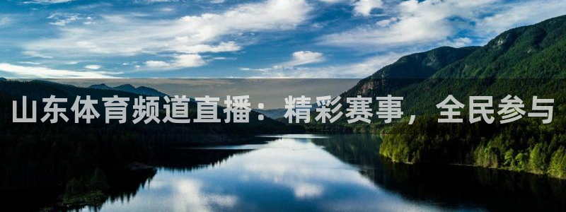 nba雨燕体育：山东体育频道直播：精彩赛事，全民参与