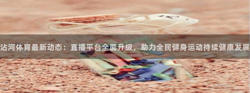 雨燕足球直播网：沾河体育最新动态：直播平台全面升级，助力全民健身运动持续健康发展