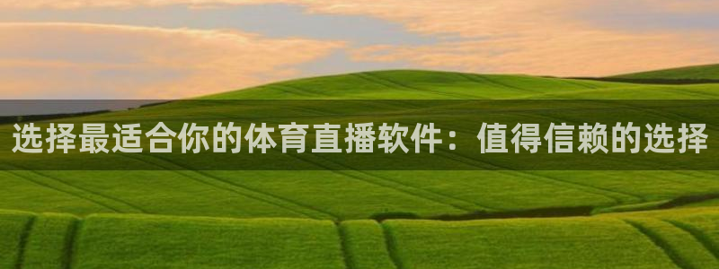 雨燕nba直播在线观看免费雨燕直播：选择最适合你的体育直播软件：值得信赖的选择