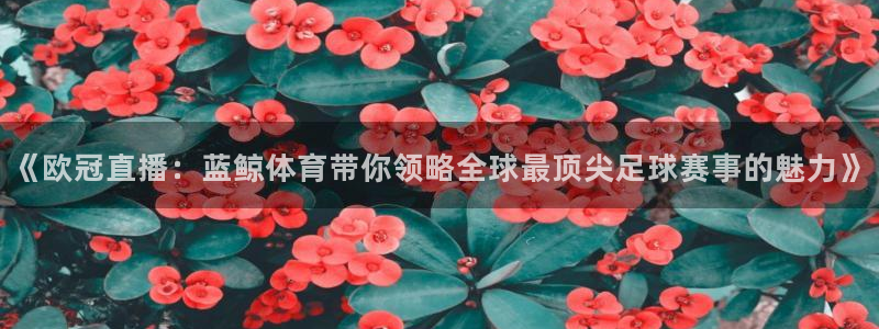 雨燕直播足球直播网：《欧冠直播：蓝鲸体育带你领略全球最顶尖足球赛事的魅力》
