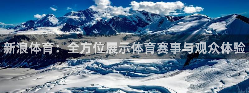 雨燕足球直播免费直播：新浪体育：全方位展示体育赛事与观众体验