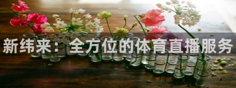 360足球网雨燕直播：新纬来：全方位的体育直播服务