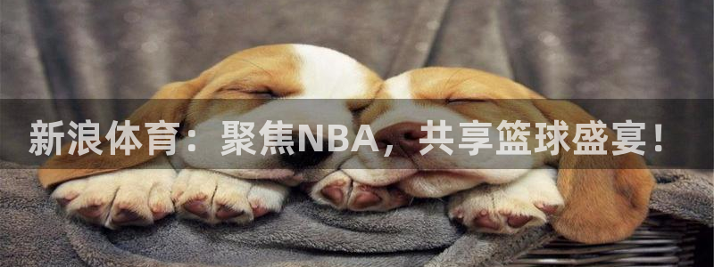 雨燕直播体育免费直播八百：新浪体育：聚焦NBA，共享篮球盛宴！