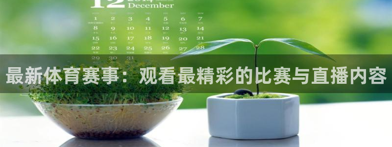 雨燕直播体育足球：最新体育赛事：观看最精彩的比赛与直播内容