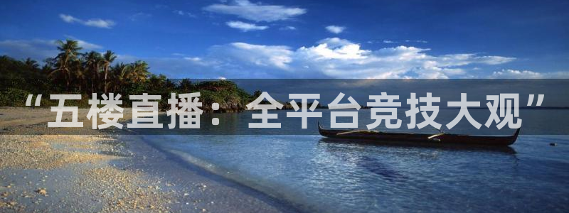 雨燕正在直播nba：“五楼直播：全平台竞技大观”