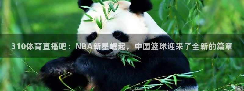 雨燕直播在线观看直播nba直播：310体育直播吧：NBA新星崛起，中国篮球迎来了全新的篇章