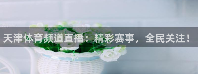 雨燕体育直播nba：天津体育频道直播：精彩赛事，全民关注！