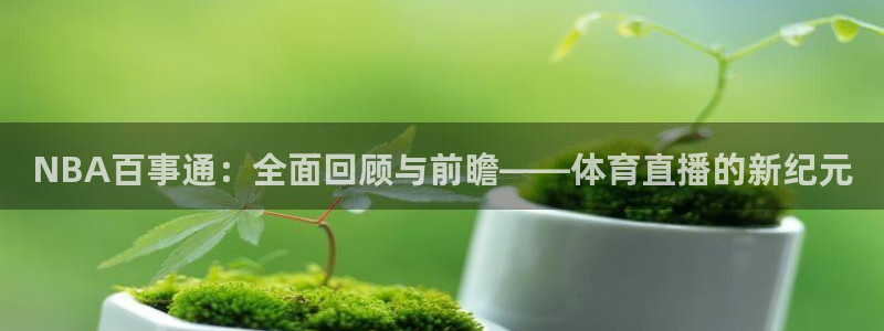 雨燕体育直播足球直播
