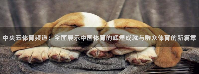 360直播足球直播雨燕相关：中央五体育频道：全面展示中国体育的辉煌成就与群众体育的新篇章
