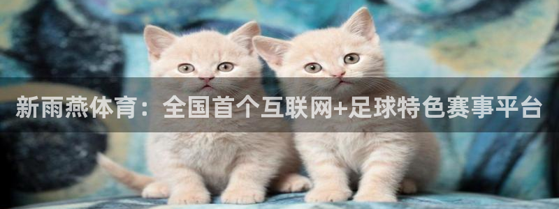雨燕360直播免费观看直播足球比赛：新雨燕体育：全国首个互联网+足球特色赛事平台