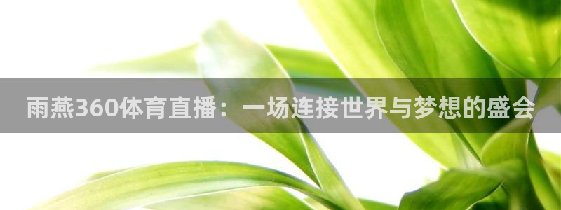 新雨燕足球高清免费直播：雨燕360体育直播：一场连接世界与梦想的盛会