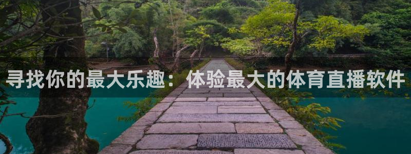 雨燕体育直播高清视频：寻找你的最大乐趣：体验最大的体育直播软件